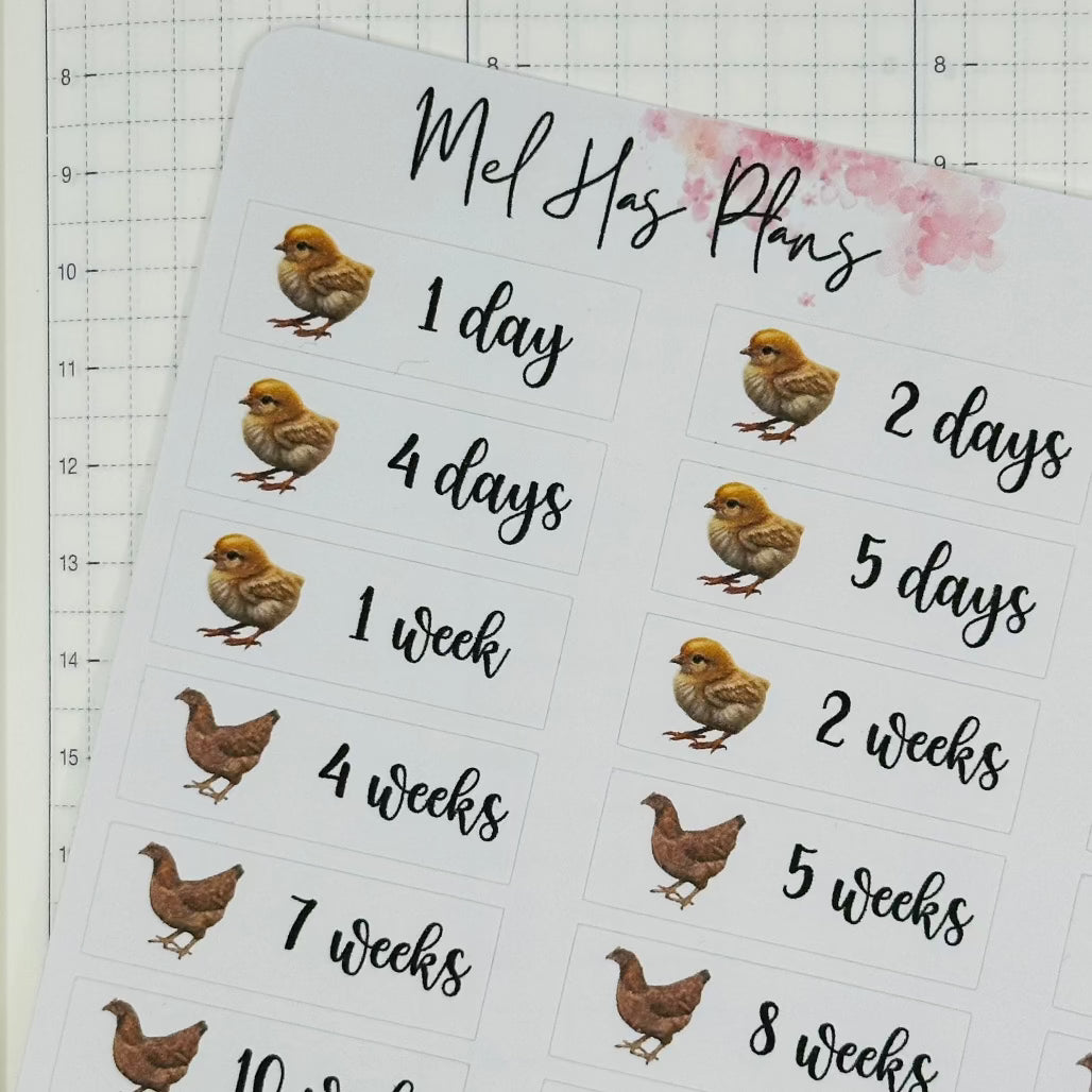 Baby Chicks Chicken Growth Progress Tracker Planner Stickers